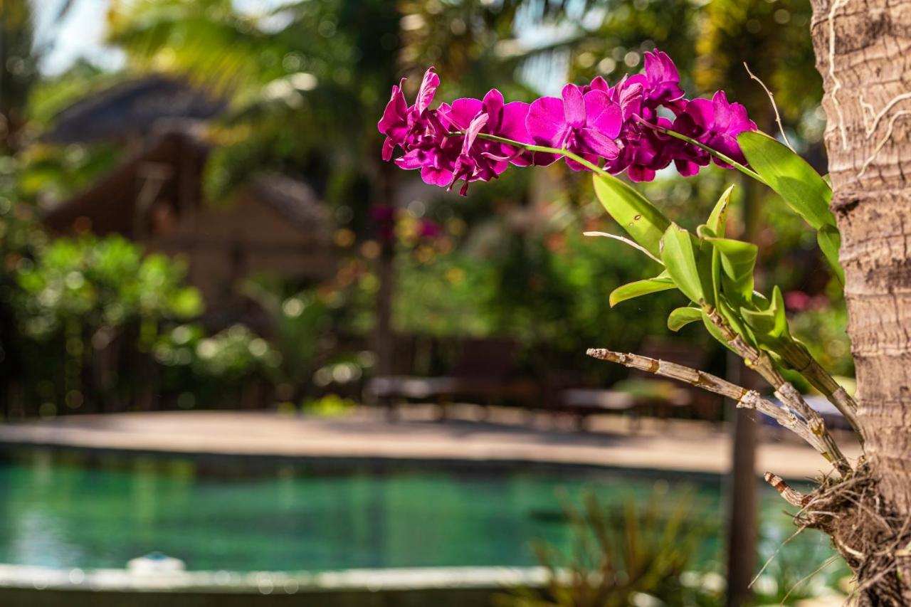 Ventura Barra Grande Hotel Barra Grande  Exterior foto